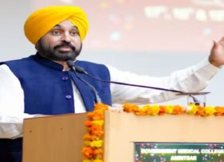 ਮਾਨ ਸਰਕਾਰ ਦਾ ਮਿਸ਼ਨ ਰੁਜ਼ਗਾਰ : CM ਨੇ 518 ਉਮੀਦਵਾਰਾਂ ਨੂੰ ਵੰਡੇ ਨਿਯੁਕਤੀ ਪੱਤਰ