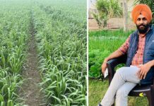 ਪੰਜਾਬੀਆਂ ਲਈ ਖੇਤੀ ਧੰਦਾ ਨਹੀਂ ਬਲਕਿ ਧਰਮ ਹੈ…