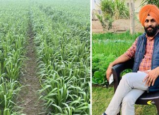 ਪੰਜਾਬੀਆਂ ਲਈ ਖੇਤੀ ਧੰਦਾ ਨਹੀਂ ਬਲਕਿ ਧਰਮ ਹੈ…