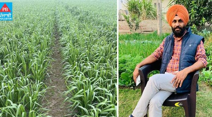 ਪੰਜਾਬੀਆਂ ਲਈ ਖੇਤੀ ਧੰਦਾ ਨਹੀਂ ਬਲਕਿ ਧਰਮ ਹੈ…