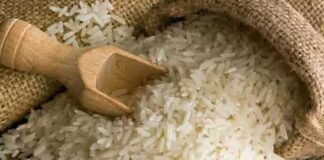 ਜਲੰਧਰ : ਅੱਜ ਤੋਂ ਮਕਸੂਦਾਂ ਮੰਡੀ ‘ਚ ਮਿਲਣਗੇ ਸਸਤੇ ਚੌਲ, ਰੇਟ 29 ਰੁਪਏ ਕਿੱਲੋ