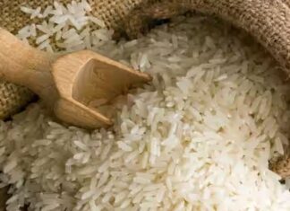 ਜਲੰਧਰ : ਅੱਜ ਤੋਂ ਮਕਸੂਦਾਂ ਮੰਡੀ ‘ਚ ਮਿਲਣਗੇ ਸਸਤੇ ਚੌਲ, ਰੇਟ 29 ਰੁਪਏ ਕਿੱਲੋ