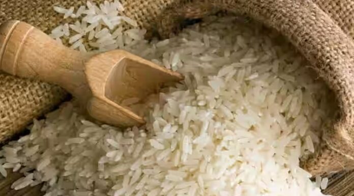 ਜਲੰਧਰ : ਅੱਜ ਤੋਂ ਮਕਸੂਦਾਂ ਮੰਡੀ ‘ਚ ਮਿਲਣਗੇ ਸਸਤੇ ਚੌਲ, ਰੇਟ 29 ਰੁਪਏ ਕਿੱਲੋ