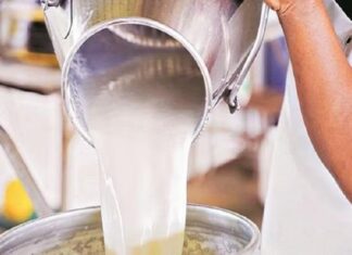 ਜਲੰਧਰ ‘ਚ ਦੁੱਧ ਦੀ ਸਪਲਾਈ ਹੋਈ ਬੰਦ, ਲੋਕ ਪ੍ਰੇਸ਼ਾਨ, ਪੜ੍ਹੋ ਡਲਿਵਰੀ ਬੰਦ ਹੋਣ ਦੀ ਵਜ੍ਹਾ