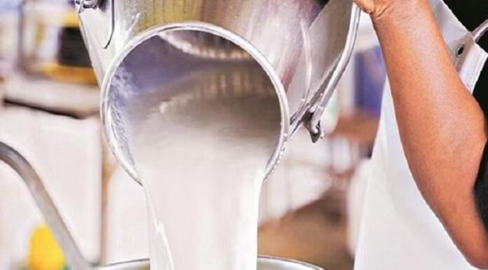 ਜਲੰਧਰ ‘ਚ ਦੁੱਧ ਦੀ ਸਪਲਾਈ ਹੋਈ ਬੰਦ, ਲੋਕ ਪ੍ਰੇਸ਼ਾਨ, ਪੜ੍ਹੋ ਡਲਿਵਰੀ ਬੰਦ ਹੋਣ ਦੀ ਵਜ੍ਹਾ