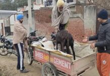 ਫਰੀਦਕੋਟ : PPR ਵਾਇਰਸ ਨਾਲ 200 ਬੱਕਰੀਆਂ ਦੀ ਮੌ.ਤ, ਬੱਕਰੀ ਪਾਲਕ ਪਰਿਵਾਰ ਦਾ ਰੋ-ਰੋ ਬੁਰਾ ਹਾਲ