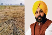 ਕਿਸਾਨਾਂ ਲਈ ਚੰਗੀ ਖ਼ਬਰ : ਮੀਂਹ ਤੇ ਗੜੇਮਾਰੀ ਨਾਲ ਨੁਕਸਾਨੀਆਂ ਫਸਲਾਂ ਦਾ ਜਲਦ ਮੁਆਵਜ਼ਾ ਦੇਵੇਗੀ ਮਾਨ ਸਰਕਾਰ