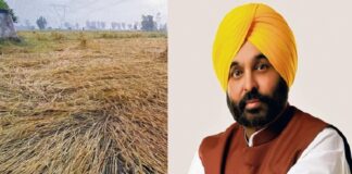 ਕਿਸਾਨਾਂ ਲਈ ਚੰਗੀ ਖ਼ਬਰ : ਮੀਂਹ ਤੇ ਗੜੇਮਾਰੀ ਨਾਲ ਨੁਕਸਾਨੀਆਂ ਫਸਲਾਂ ਦਾ ਜਲਦ ਮੁਆਵਜ਼ਾ ਦੇਵੇਗੀ ਮਾਨ ਸਰਕਾਰ