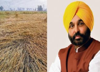 ਕਿਸਾਨਾਂ ਲਈ ਚੰਗੀ ਖ਼ਬਰ : ਮੀਂਹ ਤੇ ਗੜੇਮਾਰੀ ਨਾਲ ਨੁਕਸਾਨੀਆਂ ਫਸਲਾਂ ਦਾ ਜਲਦ ਮੁਆਵਜ਼ਾ ਦੇਵੇਗੀ ਮਾਨ ਸਰਕਾਰ