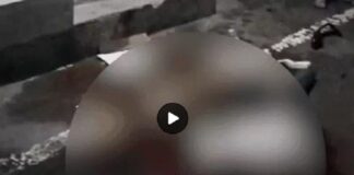 ਲੁਧਿਆਣਾ ‘ਚ ਇਨਸਾਨੀਅਤ ਹੋਈ ਸ਼ਰਮਸਾਰ ! ਹਾਦਸੇ ‘ਚ ਜ਼ਖਮੀ ਨੌਜਵਾਨ ਨੂੰ ਬਚਾਉਣ ਦੀ ਥਾਂ ਲੋਕ ਬਣਾਉਂਦੇ ਰਹੇ ਵੀਡੀਓ, ਜ਼ਖਮੀ ਦੀ ਹੋ ਗਈ ਮੌਤ