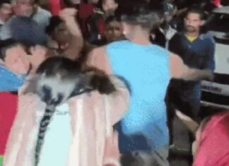 ਲੁਧਿਆਣਾ ‘ਚ ਪਿਟਬੁਲ ਕੁੱਤੇ ਨੂੰ ਲੈ ਕੇ ਆਪਸ ‘ਚ ਭਿੜੇ ਗੁਆਂਢੀ, ਚੱਲੇ ਇੱਟਾਂ-ਰੋੜੇ