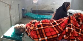 ਪਿਟਬੁੱਲ ਕੁੱਤੇ ਨੇ 85 ਸਾਲ ਦੇ ਬਜ਼ੁਰਗ ਨੂੰ ਬੁਰੀ ਤਰ੍ਹਾਂ ਨੋਚ-ਨੋਚ ਕੇ ਖਾਧਾ, ਪਰਿਵਾਰਕ ਮੈਂਬਰਾਂ ਨੇ ਮਸਾਂ ਬਚਾਈ ਜਾਨ