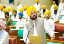 ਅਹਿਮ ਖਬਰ ! ਪੰਜਾਬ ਸਰਕਾਰ ਗੜ੍ਹੇਮਾਰੀ ਕਾਰਨ ਨੁਕਸਾਨੀਆਂ ਫਸਲਾਂ ਦੀ ਗਿਰਦਾਵਰੀ ਕਰਵਾ ਕੇ ਦੇਵੇਗੀ ਮੁਆਵਜ਼ਾ