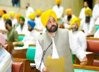 ਹਲਕਾ ਬੰਗਾ ਦੇ ਸਕੂਲਾਂ ‘ਚ 24 ਘੰਟਿਆਂ ‘ਚ ਭਰੀਆਂ ਜਾਣਗੀਆਂ ਅਧਿਆਪਕਾਂ ਦੀਆਂ ਪੋਸਟਾਂ, CM ਮਾਨ ਨੇ ਬਜਟ ਸੈਸ਼ਨ ਦੌਰਾਨ ਦਿੱਤੇ ਹੁਕਮ