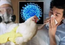 ਸਾਵਧਾਨ ! H5N1 ਬਰਡ ਫਲੂ ਕੋਰੋਨਾ ਤੋਂ ਵੀ ਖਤਰਨਾਕ, ਜਾਨਵਰਾਂ ਤੋਂ ਇਨਸਾਨਾਂ ਤੱਕ ਫੈਲਣ ਦਾ ਖ਼ਤਰਾ, CDC ਨੇ ਦਿੱਤੀ ਚਿਤਾਵਨੀ