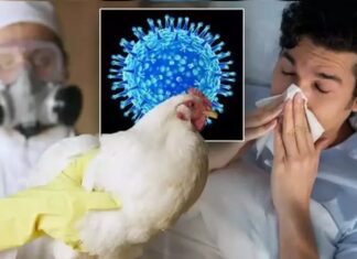 ਸਾਵਧਾਨ ! H5N1 ਬਰਡ ਫਲੂ ਕੋਰੋਨਾ ਤੋਂ ਵੀ ਖਤਰਨਾਕ, ਜਾਨਵਰਾਂ ਤੋਂ ਇਨਸਾਨਾਂ ਤੱਕ ਫੈਲਣ ਦਾ ਖ਼ਤਰਾ, CDC ਨੇ ਦਿੱਤੀ ਚਿਤਾਵਨੀ