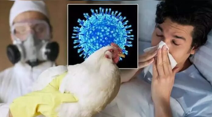 ਸਾਵਧਾਨ ! H5N1 ਬਰਡ ਫਲੂ ਕੋਰੋਨਾ ਤੋਂ ਵੀ ਖਤਰਨਾਕ, ਜਾਨਵਰਾਂ ਤੋਂ ਇਨਸਾਨਾਂ ਤੱਕ ਫੈਲਣ ਦਾ ਖ਼ਤਰਾ, CDC ਨੇ ਦਿੱਤੀ ਚਿਤਾਵਨੀ