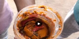 ਫਾਜ਼ਿਲਕਾ ‘ਚ ਡੱਬਾ ਬੰਦ ਖਰੀਦੇ ਵੱਡੀ ਕੰਪਨੀ ਦੇ ਆਚਾਰ ‘ਚੋਂ ਨਿਕਲਿਆ ਮਰਿਆ ਸੱਪ, ਪਰਿਵਾਰ ‘ਚ ਫੈਲੀ ਦਹਿਸ਼ਤ