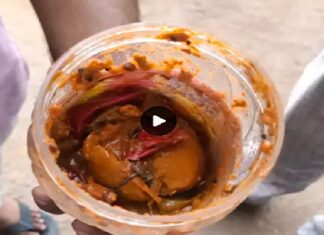 ਫਾਜ਼ਿਲਕਾ ‘ਚ ਡੱਬਾ ਬੰਦ ਖਰੀਦੇ ਵੱਡੀ ਕੰਪਨੀ ਦੇ ਆਚਾਰ ‘ਚੋਂ ਨਿਕਲਿਆ ਮਰਿਆ ਸੱਪ, ਪਰਿਵਾਰ ‘ਚ ਫੈਲੀ ਦਹਿਸ਼ਤ