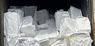 ਵੱਡੀ ਖਬਰ ! ਪਾਬੰਦੀਸ਼ੁਦਾ ਦਵਾਈਆਂ ਦੇ ਨੈੱਟਵਰਕ ਦਾ ਪਰਦਾਫਾਸ਼, STF ਨੇ ਲੱਖਾਂ ਨਸ਼ੀਲੀਆਂ ਗੋਲੀਆਂ ਸਮੇਤ 7 ਮੁਲਜ਼ਮ ਕੀਤੇ ਕਾਬੂ