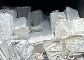 ਵੱਡੀ ਖਬਰ ! ਪਾਬੰਦੀਸ਼ੁਦਾ ਦਵਾਈਆਂ ਦੇ ਨੈੱਟਵਰਕ ਦਾ ਪਰਦਾਫਾਸ਼, STF ਨੇ ਲੱਖਾਂ ਨਸ਼ੀਲੀਆਂ ਗੋਲੀਆਂ ਸਮੇਤ 7 ਮੁਲਜ਼ਮ ਕੀਤੇ ਕਾਬੂ