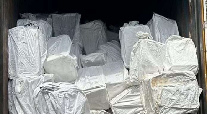 ਵੱਡੀ ਖਬਰ ! ਪਾਬੰਦੀਸ਼ੁਦਾ ਦਵਾਈਆਂ ਦੇ ਨੈੱਟਵਰਕ ਦਾ ਪਰਦਾਫਾਸ਼, STF ਨੇ ਲੱਖਾਂ ਨਸ਼ੀਲੀਆਂ ਗੋਲੀਆਂ ਸਮੇਤ 7 ਮੁਲਜ਼ਮ ਕੀਤੇ ਕਾਬੂ