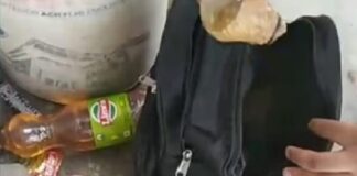 ਜਲੰਧਰ : ਪਤਨੀ ਦੇ ਬਾਰ-ਬਾਰ ਪੇਕੇ ਜਾਣ ਤੋਂ ਨਾਰਾਜ਼ ਪਤੀ ਨੇ ਸਾਲੇ ‘ਤੇ ਸੁੱਟਿਆ ਤੇਜ਼ਾਬ