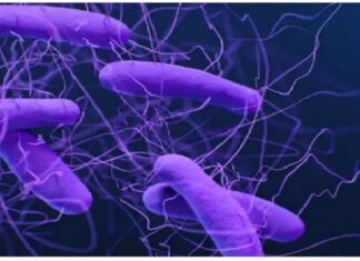 ਸਾਵਧਾਨ ! ਸੁਪਰਬੱਗ ‘ਤੇ ਬੇਅਸਰ ਹਰ ਦਵਾਈ, ਜ਼ੁਕਾਮ-ਖਾਂਸੀ ਨਾਲ ਵੀ ਹੋ ਸਕਦੀ ਹੈ ਮੌਤ, ਇਹ ਹਨ ਲਛਣ