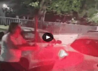 ਲੁਧਿਆਣਾ ‘ਚ ਕਾਰ ਖੜ੍ਹੇ ਕਰਨ ਨੂੰ ਲੈ ਕੇ ਹੋਈ 2 ਧਿਰਾਂ ‘ਚ ਝੜਪ, ਭੰਨੇ ਕਾਰਾਂ ਦੇ ਸ਼ੀਸ਼ੇ