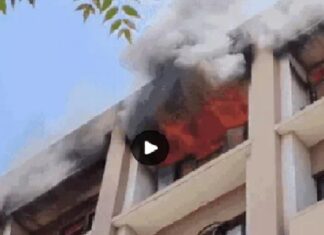 ਵੱਡੀ ਖਬਰ ! ਪੰਜਾਬ ਦੇ ਸਭ ਤੋਂ ਵੱਡੇ GST ਦਫਤਰ ‘ਚ ਲੱਗੀ ਅੱਗ, 5ਵੀਂ ਮੰਜ਼ਿਲ ਬੁਰੀ ਤਰ੍ਹਾਂ ਨਾਲ ਸੜੀ, ਸਾਰੀਆਂ ਫਾਈਲਾਂ ਸੜ ਕੇ ਰਾਖ