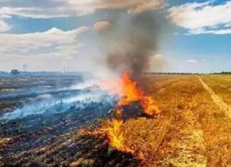 ਵੱਡੀ ਖਬਰ ! ਪਰਾਲੀ ਸਾੜਨ ਨੂੰ ਲੈ ਕੇ ਕੇਂਦਰ ਸਰਕਾਰ ਪਹਿਲਾਂ ਹੀ ਪੰਜਾਬ ‘ਤੇ ਸਖਤ, ਅਧਿਕਾਰੀਆਂ ਨੂੰ ਬੁਲਾ ਦਿੱਤੇ ਨਵੇਂ ਹੁਕਮ