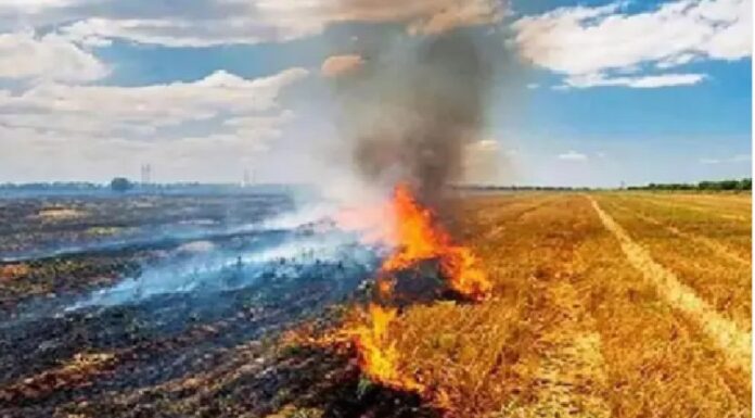 ਵੱਡੀ ਖਬਰ ! ਪਰਾਲੀ ਸਾੜਨ ਨੂੰ ਲੈ ਕੇ ਕੇਂਦਰ ਸਰਕਾਰ ਪਹਿਲਾਂ ਹੀ ਪੰਜਾਬ ‘ਤੇ ਸਖਤ, ਅਧਿਕਾਰੀਆਂ ਨੂੰ ਬੁਲਾ ਦਿੱਤੇ ਨਵੇਂ ਹੁਕਮ