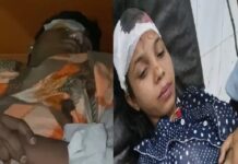 ਲੁਧਿਆਣਾ ‘ਚ ਤੇਜ਼ ਹਨੇਰੀ ਨੇ ਮਚਾਈ ਤਬਾਹੀ ! ਦਰੱਖਤ, ਖੰਭੇ ਤੇ ਇੱਟਾਂ ਡਿੱਗਣ ਕਾਰਨ ਔਰਤ ਸਣੇ 3 ਜ਼ਖਮੀ