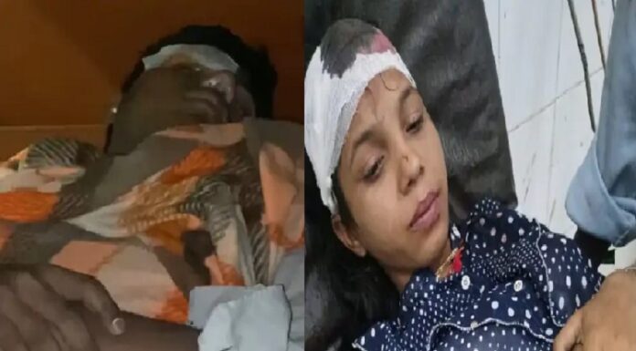 ਲੁਧਿਆਣਾ ‘ਚ ਤੇਜ਼ ਹਨੇਰੀ ਨੇ ਮਚਾਈ ਤਬਾਹੀ ! ਦਰੱਖਤ, ਖੰਭੇ ਤੇ ਇੱਟਾਂ ਡਿੱਗਣ ਕਾਰਨ ਔਰਤ ਸਣੇ 3 ਜ਼ਖਮੀ