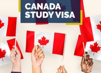 ਸਟੱਡੀ ਵੀਜ਼ਾ ‘ਤੇ ਕੈਨੇਡਾ ਜਾਣ ਵਾਲੇ ਸਟੂਡੈਂਟਸ ਨੂੰ ਲੱਗ ਸਕਦਾ ਵੱਡਾ ਝਟਕਾ, ਸਿਟੀਜ਼ਨਸ਼ਿਪ ਮੰਤਰੀ ਨੇ ਕਿਹਾ- ਪੜ੍ਹਾਈ ਕਰਕੇ ਬੱਚਿਆਂ ਨੂੰ ਵਾਪਸ ਪਰਤ ਜਾਣਾ ਚਾਹੀਦਾ