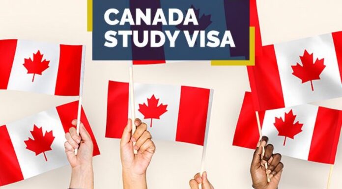 ਸਟੱਡੀ ਵੀਜ਼ਾ ‘ਤੇ ਕੈਨੇਡਾ ਜਾਣ ਵਾਲੇ ਸਟੂਡੈਂਟਸ ਨੂੰ ਲੱਗ ਸਕਦਾ ਵੱਡਾ ਝਟਕਾ, ਸਿਟੀਜ਼ਨਸ਼ਿਪ ਮੰਤਰੀ ਨੇ ਕਿਹਾ- ਪੜ੍ਹਾਈ ਕਰਕੇ ਬੱਚਿਆਂ ਨੂੰ ਵਾਪਸ ਪਰਤ ਜਾਣਾ ਚਾਹੀਦਾ