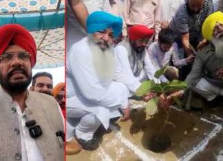 15 ਅਗਸਤ ਤੱਕ ਇਕ ਲੱਖ ਬੂਟਾ ਲਾਉਣ ਦਾ ਟੀਚਾ ਕਰਾਂਗੇ ਪੂਰਾ – ਮੰਤਰੀ ਧਾਲੀਵਾਲ
