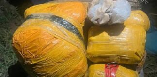 ਸਰਹੱਦ ਤੋਂ 2 ਨਸ਼ਾ ਤਸਕਰ ਕਾਬੂ, ਫ਼ਿਰੋਜ਼ਪੁਰ ਪੁਲਿਸ ਨੇ ਸਾਢੇ ਛੇ ਕਿੱਲੋ ਹੈਰੋਇਨ ਤੇ ਡਰੱਗ ਮਨੀ ਕੀਤੀ ਬਰਾਮਦ