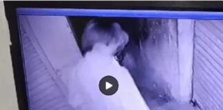 ਲੁਧਿਆਣਾ ‘ਚ ਸਫਾਈ ਕਰਮਚਾਰੀ ਨੇ ਸੁਨਿਆਰੇ ਦੀ ਦੁਕਾਨ ‘ਚੋਂ ਲੱਖਾਂ ਦਾ ਸੋਨਾ ਕੀਤਾ ਚੋਰੀ