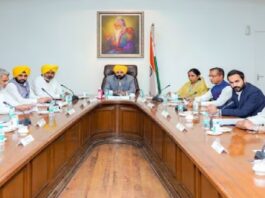 CM ਭਗਵੰਤ ਮਾਨ ਦੀ ਕੈਬਨਿਟ ਦੇ ਮੰਤਰੀਆਂ ‘ਚ ਵਿਭਾਗਾਂ ਦੀ ਵੰਡ, ਵੇਖੋ ਪੂਰੀ ਲੀਸਟ