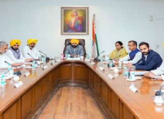 CM ਭਗਵੰਤ ਮਾਨ ਦੀ ਕੈਬਨਿਟ ਦੇ ਮੰਤਰੀਆਂ ‘ਚ ਵਿਭਾਗਾਂ ਦੀ ਵੰਡ, ਵੇਖੋ ਪੂਰੀ ਲੀਸਟ