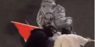 ਕੈਨੇਡਾ ‘ਚ ਮਹਾਰਾਜਾ ਰਣਜੀਤ ਸਿੰਘ ਦੇ ਬੁੱਤ ਨਾਲ ਛੇੜਛਾੜ, ਬੁੱਤ ‘ਤੇ ਲਾਇਆ ਫਲਸਤੀਨ ਦਾ ਝੰਡਾ