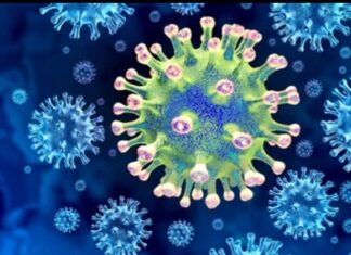 ਕੋਰੋਨਾ ਤੇ ਮੌਨਕੀਪੌਕਸ ਤੋਂ ਬਾਅਦ ਹੁਣ ਇੱਕ ਨਵੇਂ ਵਾਇਰਸ ਦਾ ‘ਆਤੰਕ’, 88% ਸੰਕਰਮਿਤ ਲੋਕਾਂ ਦੀ ਹੋ ਜਾਂਦੀ ਹੈ ਮੌਤ