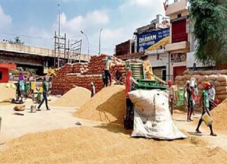 ਵੱਡੀ ਖਬਰ ! 1 ਅਕਤੂਬਰ ਤੋਂ ਪੰਜਾਬ ਭਰ ਦੀਆਂ ਮੰਡੀਆਂ ਹੋ ਸਕਦੀਆਂ ਹਨ ਬੰਦ, ਚਿੰਤਾ ‘ਚ ਡੁੱਬੇ ਕਿਸਾਨ