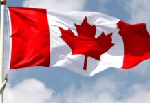 Canada ‘ਚ ਸਟੱਡੀ ਵੀਜ਼ੇ ‘ਤੇ ਗਏ ਪੰਜਾਬੀ ਵਿਦਿਆਰਥੀ ਗ੍ਰਿਫਤਾਰ, ਵਜ੍ਹਾ ਜਾਣ ਕੇ ਹੋਵੋਗੇ ਹੈਰਾਨ