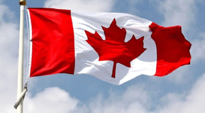 Canada ‘ਚ ਸਟੱਡੀ ਵੀਜ਼ੇ ‘ਤੇ ਗਏ ਪੰਜਾਬੀ ਵਿਦਿਆਰਥੀ ਗ੍ਰਿਫਤਾਰ, ਵਜ੍ਹਾ ਜਾਣ ਕੇ ਹੋਵੋਗੇ ਹੈਰਾਨ