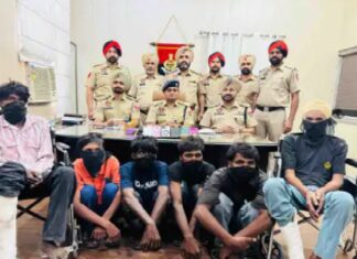ਲੁਧਿਆਣਾ ‘ਚ ਲੁੱਟਾਂ-ਖੋਹਾਂ ਕਰਨ ਵਾਲੇ ਗਿਰੋਹ ਦੇ 13 ਮੈਂਬਰ ਆਏ ਅੜਿੱਕੇ, 74 ਮੋਬਾਈਲ ਤੇ 7 ਮੋਟਰਸਾਈਕਲ ਕੀਤੇ ਬਰਾਮਦ