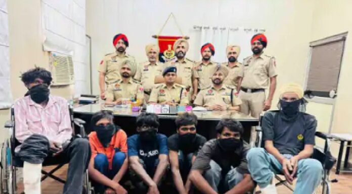 ਲੁਧਿਆਣਾ ‘ਚ ਲੁੱਟਾਂ-ਖੋਹਾਂ ਕਰਨ ਵਾਲੇ ਗਿਰੋਹ ਦੇ 13 ਮੈਂਬਰ ਆਏ ਅੜਿੱਕੇ, 74 ਮੋਬਾਈਲ ਤੇ 7 ਮੋਟਰਸਾਈਕਲ ਕੀਤੇ ਬਰਾਮਦ