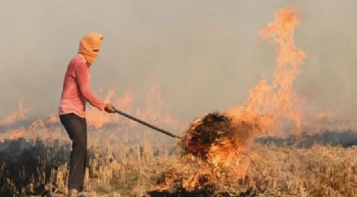 ਪਰਾਲੀ ਸਾੜਨ ਵਾਲੇ ਕਿਸਾਨਾਂ ‘ਤੇ ਪੰਜਾਬ ਸਰਕਾਰ ਦਾ ਐਕਸ਼ਨ ! ਹੁਣ ਨਹੀਂ ਬਣੇਗਾ ਨਵਾਂ ਅਸਲਾ ਲਾਇਲੈਂਸ, ਨਾ ਹੀ ਹੋਵੇਗਾ ਰੀਨਿਊ