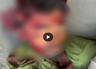 ਸ੍ਰੀ ਹਰਿਮੰਦਰ ਸਾਹਿਬ ਕੰਪਲੈਕਸ ‘ਚ ਨੌਜਵਾਨ ਨੇ ਖੁਦ ਨੂੰ ਮਾਰੀ ਗੋਲੀ, ਇਲਾਜ ਦੌਰਾਨ ਹੋਈ ਮੌਤ